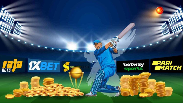 How can you win big in this IPL season with the help of betting apps?